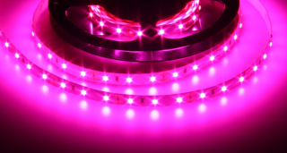 LED pásek GROW 12V 12W